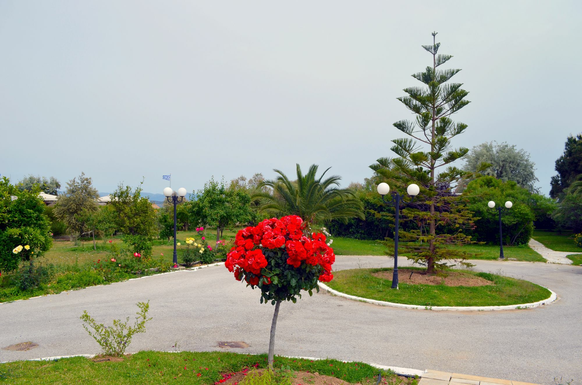 Olive Mansion Suites Marathon  Ngoại thất bức ảnh