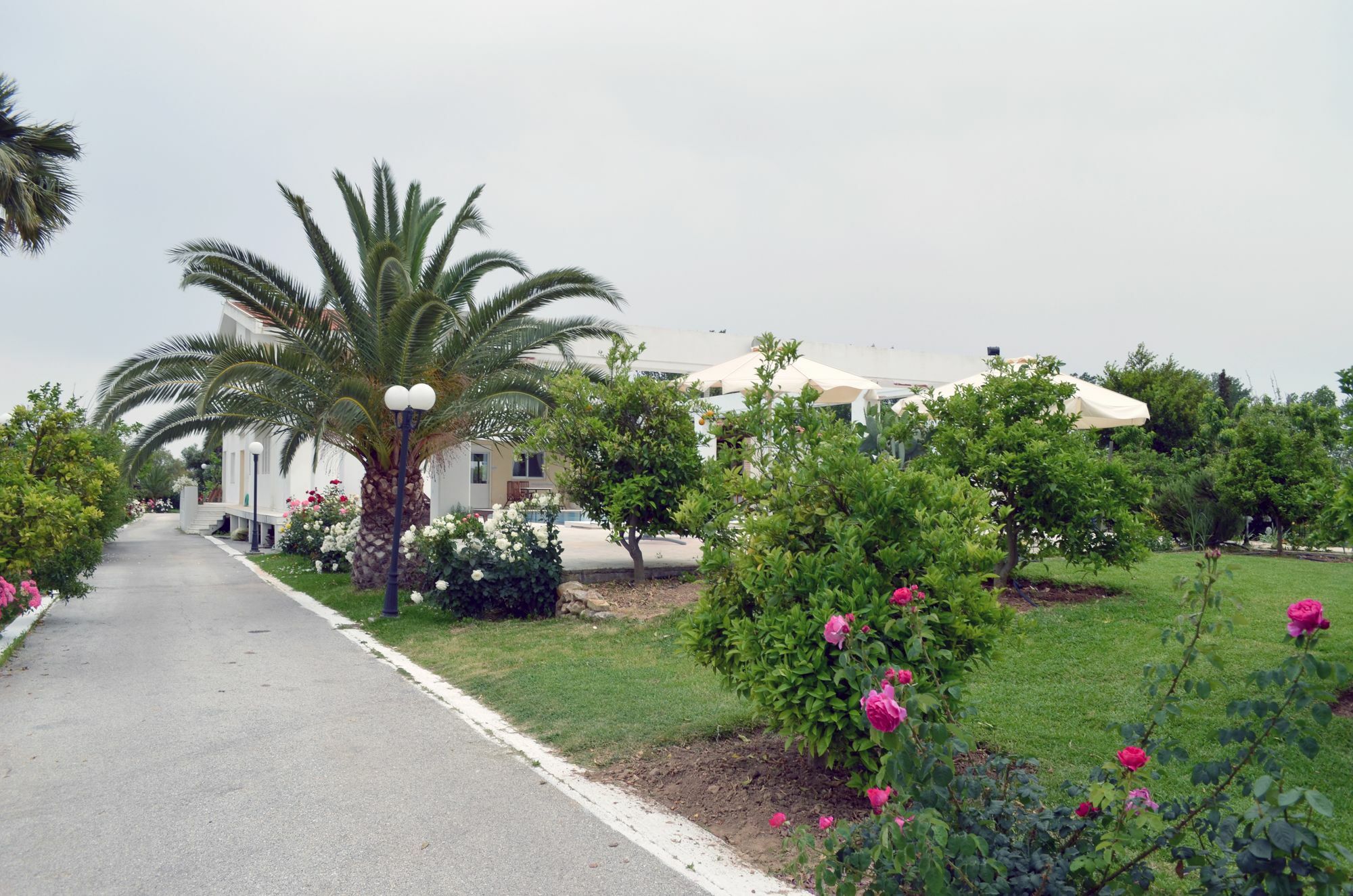 Olive Mansion Suites Marathon  Ngoại thất bức ảnh