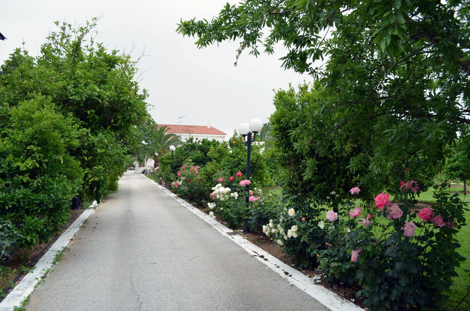 Olive Mansion Suites Marathon  Ngoại thất bức ảnh